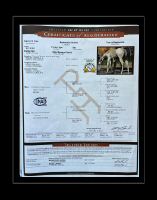 Pandemic APHA Registration Front.jpg